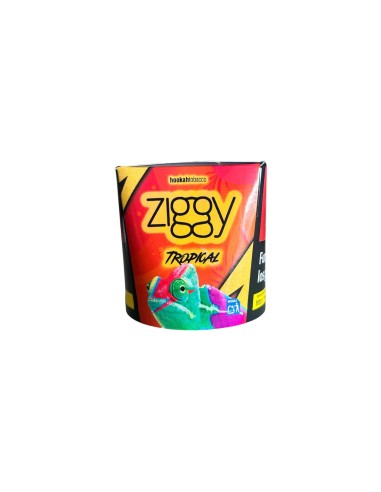 ZIGGY TROPICAL (250g)